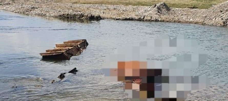 Un cal a murit înecat după ce o persoană a intrat cu căruţa în râul Bistriţa