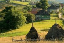 Fundația Noi Orizonturi lansează Clubul Meseriilor Rurale la Piatra Neamț