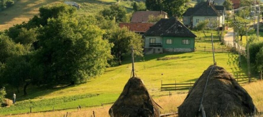 Fundația Noi Orizonturi lansează Clubul Meseriilor Rurale la Piatra Neamț