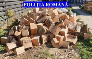 transport lemne ilegal autoutilitara (1)