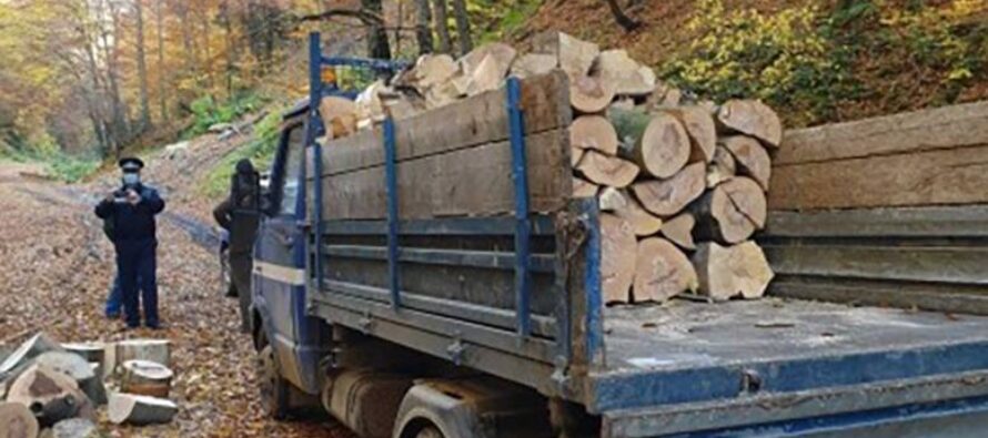 Transporta lemne ilegal cu o autoutilitară fără ITP