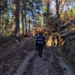 accident taf rasturnat persoana decedata (1)