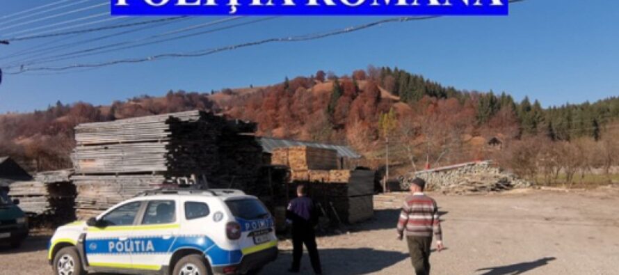 Amenzi de 23.000 de lei pentru transporturi ilegale de lemne