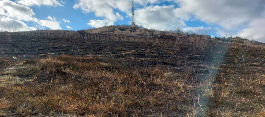 A fost stabilită cauza producerii incendiului de pe Pietricica