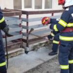 caine salvat de pompieri speranta (1)