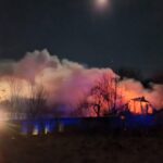 incendiu gospodarie grumazesti (7)