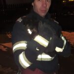pisica salvata de pompierii nemteni (2)