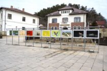 ”Biodiversitatea” – expoziție de fotografie organizată la Curtea Domnească din Piatra Neamț