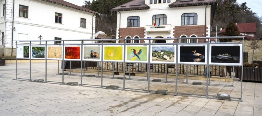 ”Biodiversitatea” – expoziție de fotografie organizată la Curtea Domnească din Piatra Neamț