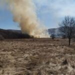 incendii de vegetatie pompieri (2)