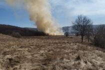 Pompierii au intervenit pentru stingerea a 3 incendii de vegetație