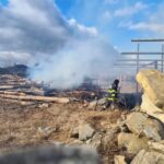 incendii vegetatie februarie (2)