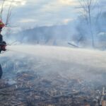 incendii vegetatie februarie (3)