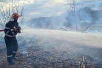 Peste 12 hectare de vegetație au ars în urma unor incendii, într-o singură zi