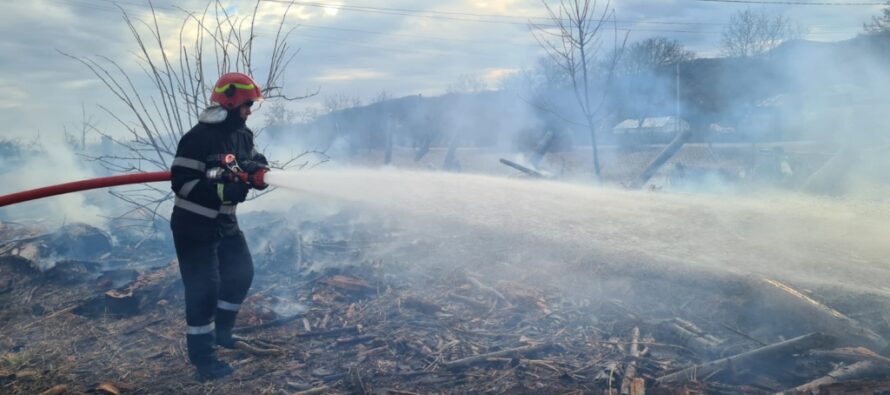 Peste 12 hectare de vegetație au ars în urma unor incendii, într-o singură zi