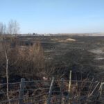 familie fara locuinta incendiu de vegetatie draganesti (3)
