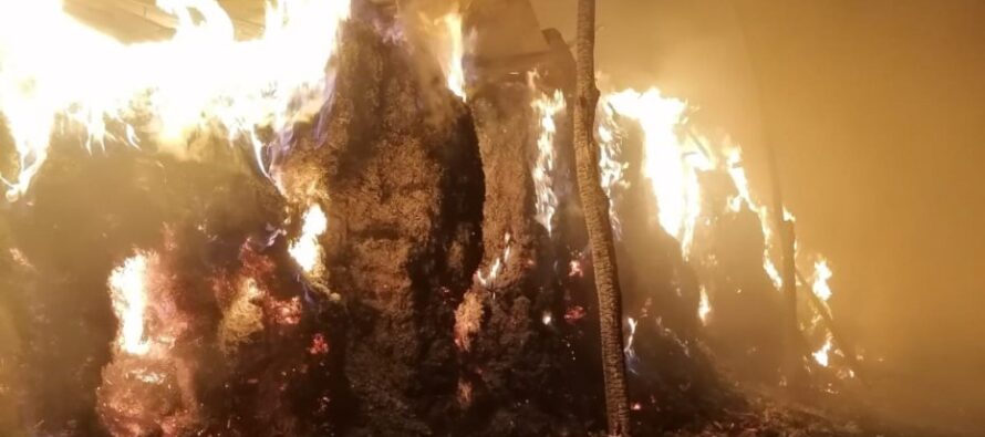 Incendiu la un adăpost de animale din comuna Tupilați