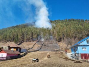 incendiu padure bicaz chei (1)