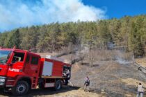 Intervenție grea a pompierilor pentru stingerea unui incendiu izbucnit într-o pădure din Bicaz Chei