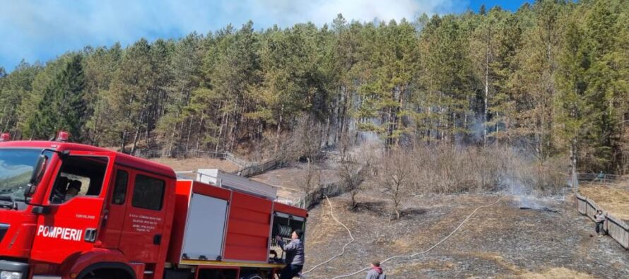 Intervenție grea a pompierilor pentru stingerea unui incendiu izbucnit într-o pădure din Bicaz Chei