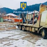 transport ilegal de lemne borca (2)