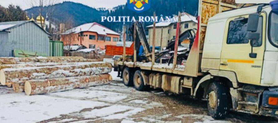Transport ilegal de lemne oprit de polițiștii nemțeni