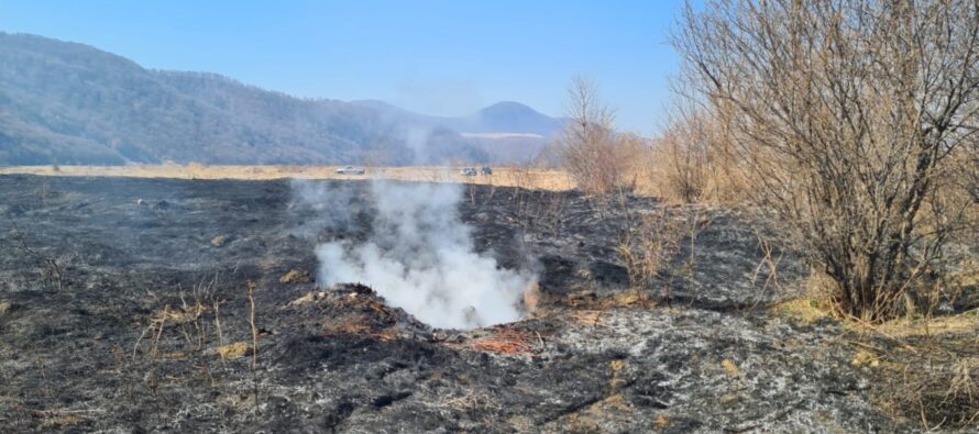 Peste 6 hectare de vegetație au ars, astăzi, în trei incendii