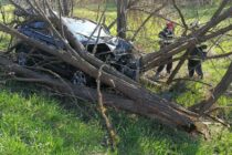 Un autoturism cu 5 persoane s-a izbit de copacii de pe marginea drumului