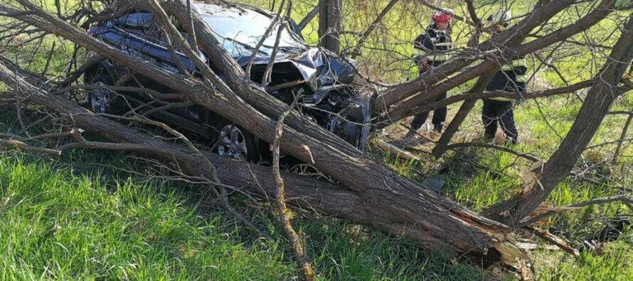Un autoturism cu 5 persoane s-a izbit de copacii de pe marginea drumului