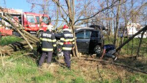 autoturism izbit in copaci accident rutier oglinzi (2)