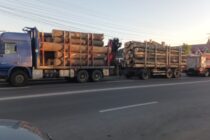 Un camion cu 2 remorci încărcate cu lemne a luat foc în trafic