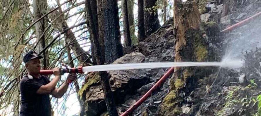 Incendiu la o pădure din comuna Borca