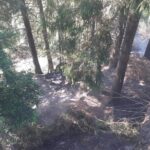 incendiu padure borca (3)