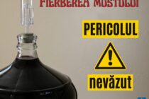 ISU recomandă: atenție la vinul aflat în procesul de fermentare
