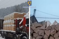 Transporturi ilegale de lemne oprite de polițiști