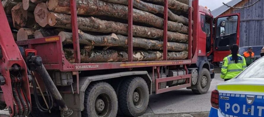 Bărbat din Pipirig prins de polițiști în timp ce transporta lemne fără acte