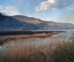 5 hectare de vegetație au ars în localitatea Preluca