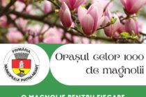 Piatra-Neamț, orașul celor 1000 de magnolii