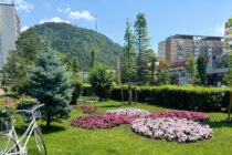 S-a încheiat a doua etapă de cosire a ierbii din oraș