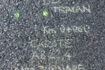 Clarificări privind turnarea asfaltului pe Bulevardul Traian