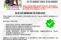 Asociatia Youth for Neamț anunță cea mai mare campanie de sterilizare gratuită pentru câinii din județul Neamț!