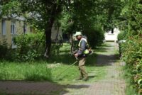 Cosirea vegetației s-a reluat în cartierul Mărăței