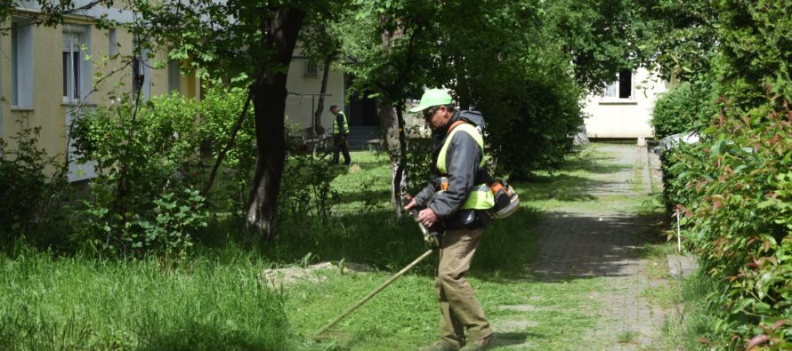 Începe ultima etapă de cosire a spațiilor verzi