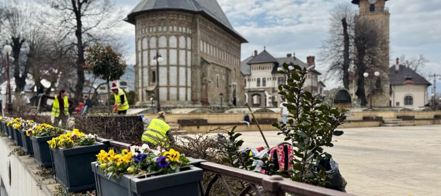 Lucrări de întreținere și plantări pentru un oraș mai bine îngrijit