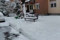 Direcția Poliția Locală Piatra Neamț – Informare