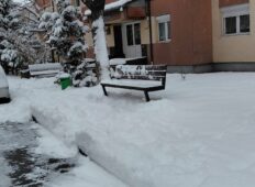 Direcția Poliția Locală Piatra Neamț – Informare