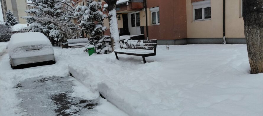 Direcția Poliția Locală Piatra Neamț – Informare