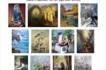 Expoziția de pictură a profesorului Macavei