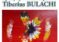 Expoziție personală de pictură Tiberius Bulachi, la Biblioteca  Județeană